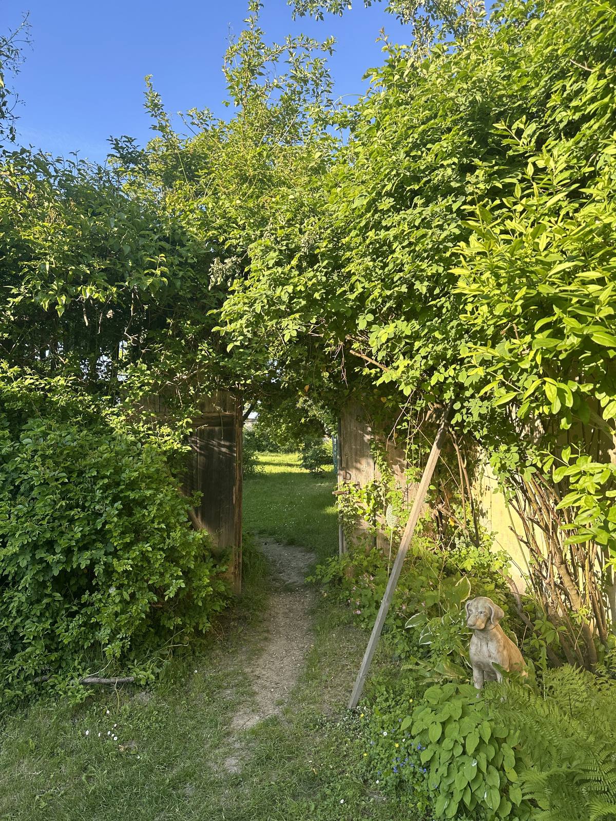 Wilder Garten im Gutshof 1640 Stratzing, freie Trauung in der Wachau Niederoesterreich